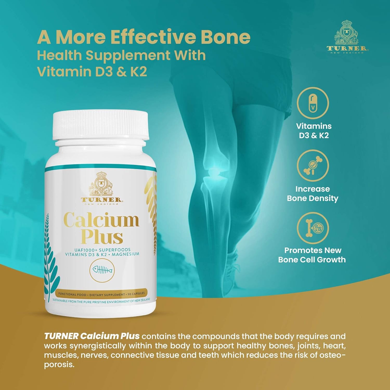 TURNER Calcium Plus with UAF1000+ Super Antioxidant - Natural Marine Supplement for Bone & Joint Health - 6 Bottles, 540 Capsules