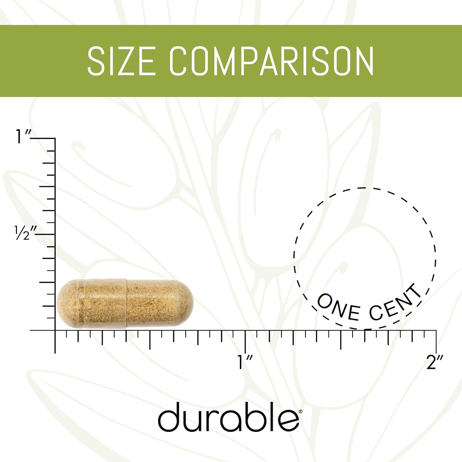 Two-in-One Blood Pressure Support Formula with Benolea Olive Leaf & Enovita Grape Seed Extract, Boosts Nitric Oxide, Supports Vascular Health, USA-Made, Doctor-Formulated (180 Capsules)