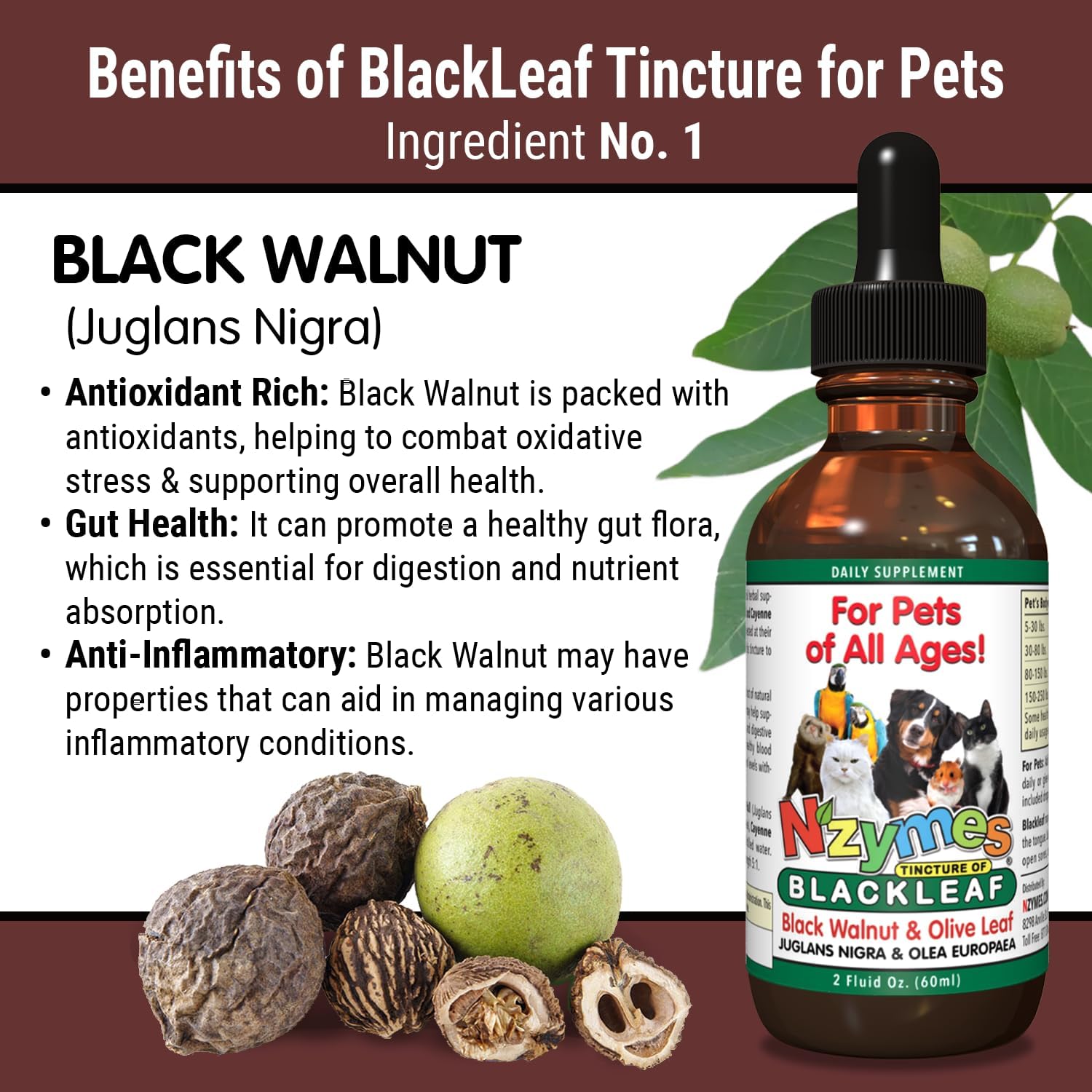 Two Pack of Nzymes BlackLeaf Pet Tincture - All-Natural and Organic Formula for Pets