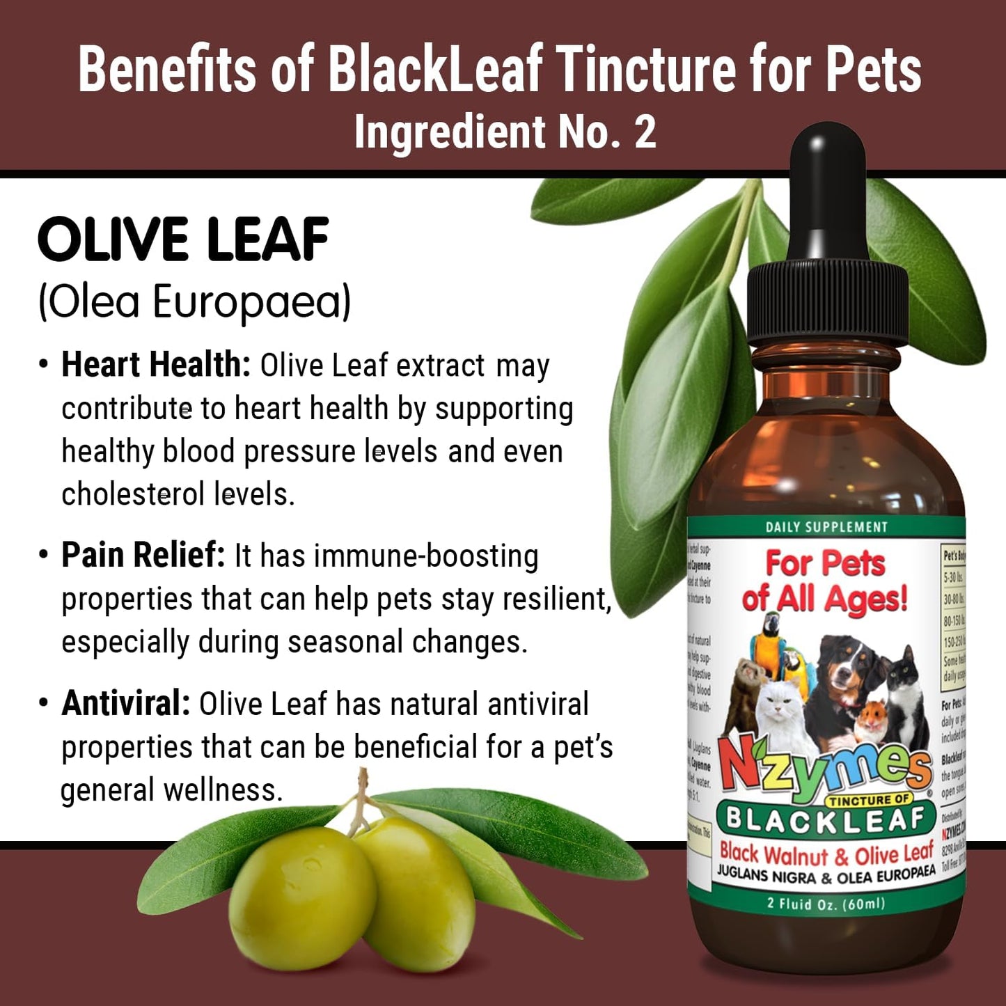 Two Pack of Nzymes BlackLeaf Pet Tincture - All-Natural and Organic Formula for Pets