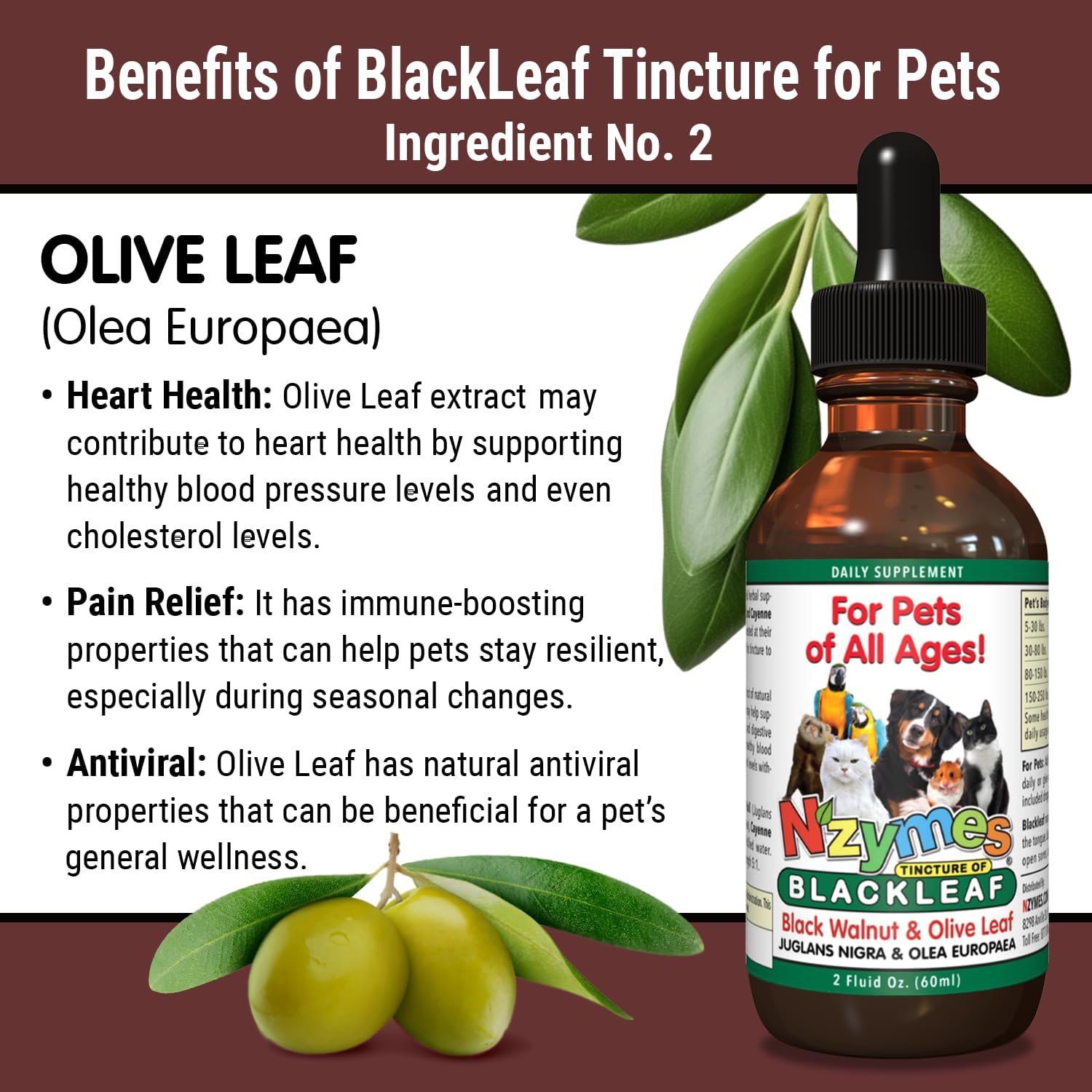 Two Pack of Nzymes BlackLeaf Pet Tincture - All-Natural and Organic Formula for Pets