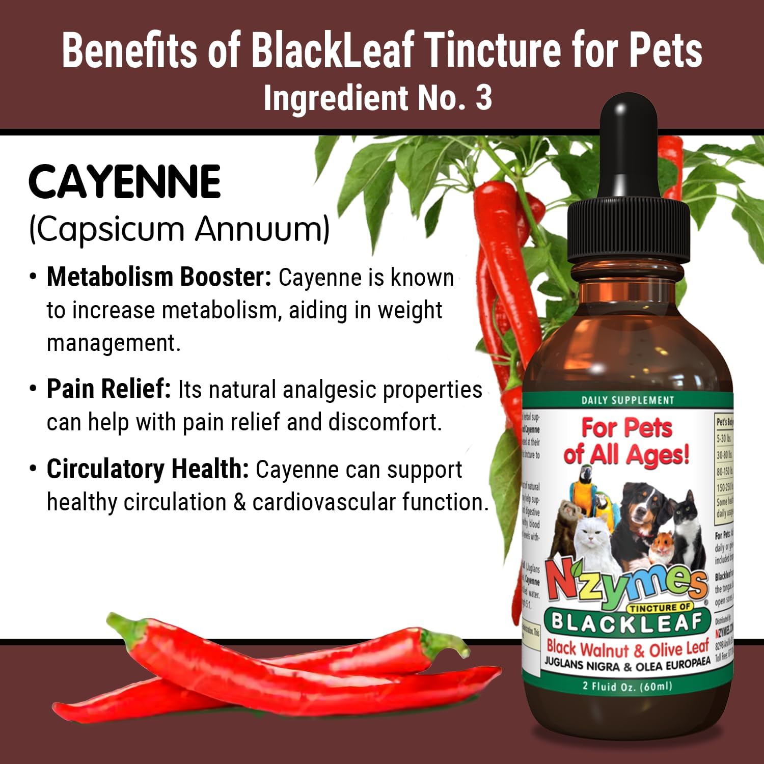 Two Pack of Nzymes BlackLeaf Pet Tincture - All-Natural and Organic Formula for Pets