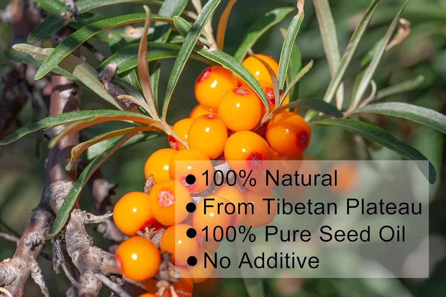 ULTHMOK Premium Sea Buckthorn Seed Oil Softgels - 100% Pure Oil, Non-GMO, Gluten Free - 100 Softgels x 500mg