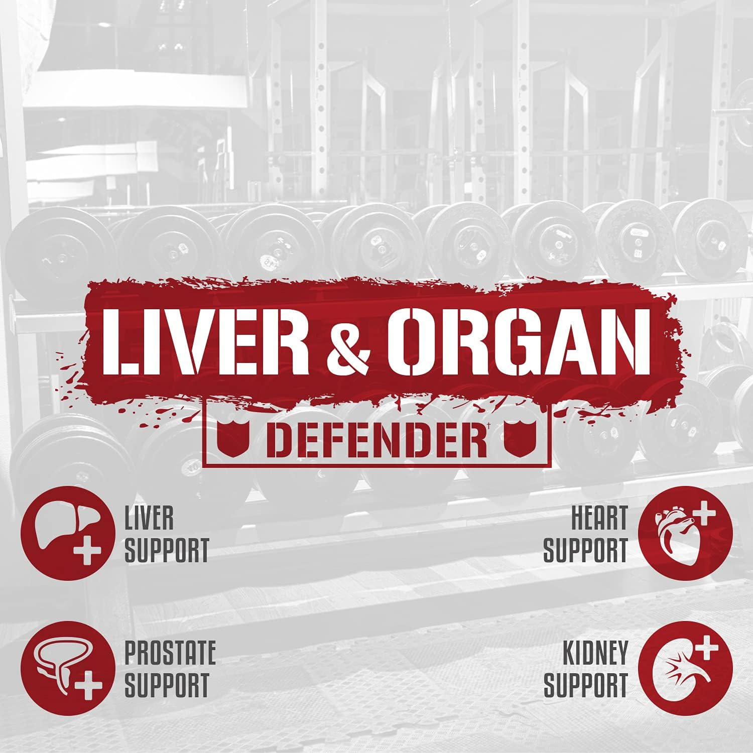 Ultimate Organ Support Stack with Liver Defender & Muscle Builder