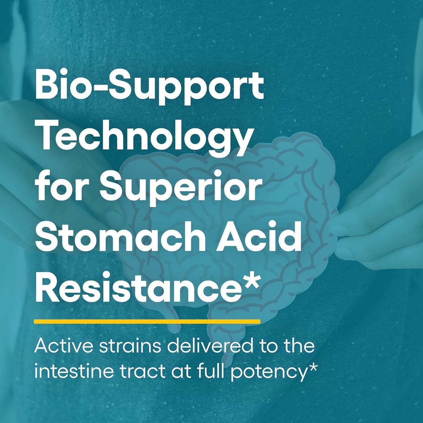 Ultimate Probiotic Women's 4-in-1 Formula with 10 Strains, Cranberry Extract, 12 Billion CFU - Supports Digestive, Vaginal, Urinary & Immune Health - 60 Capsules