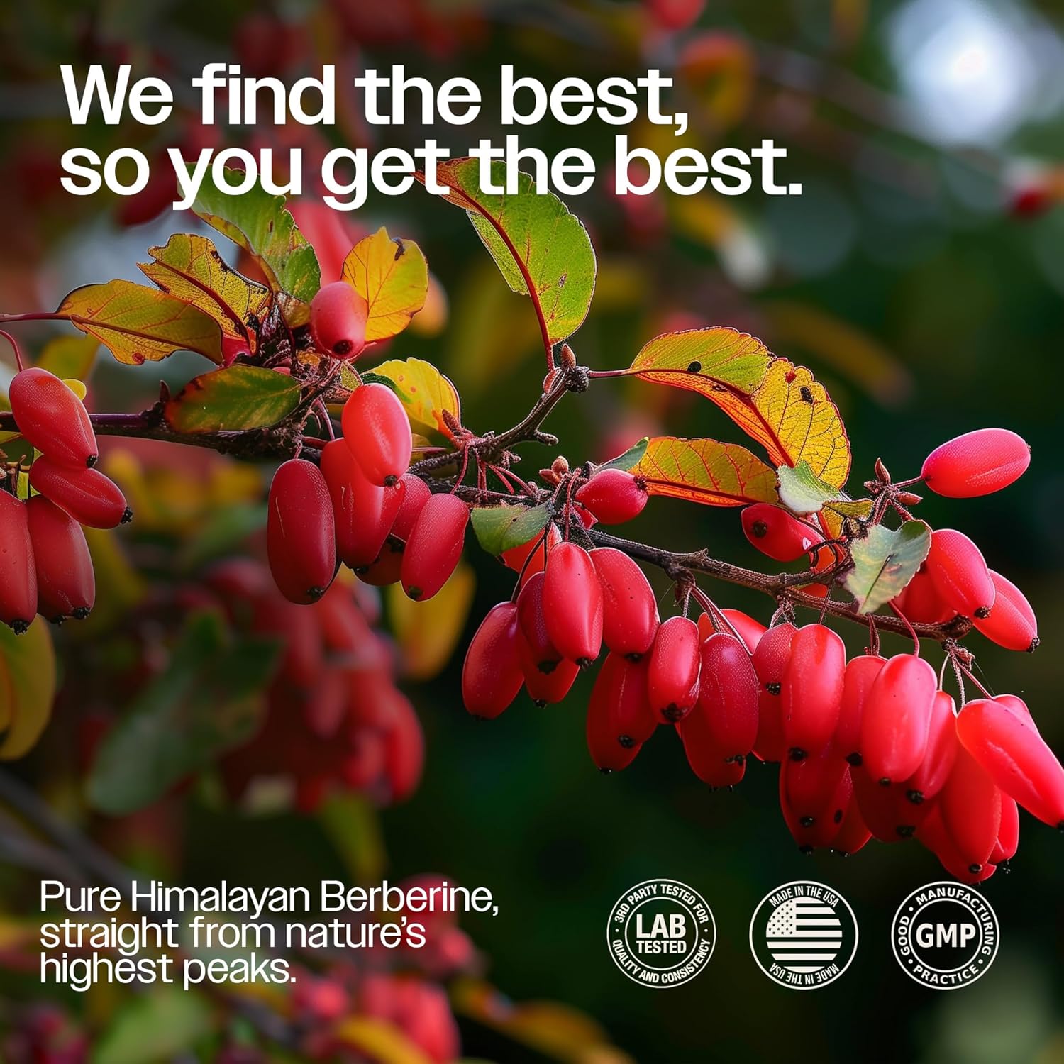 Ultra High Potency Berberine Complex Supplement with Citrus Bergamot & Colloidal Gold - 180 Capsules