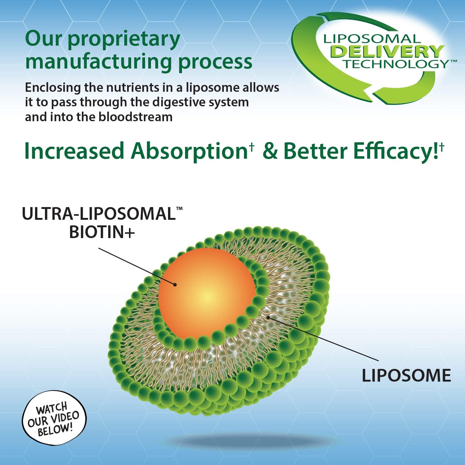 Ultra-Liposomal Biotin 10,000mcg for Hair, Skin & Nails - Collagen Boost - 10 fl oz - BoostGo Australia