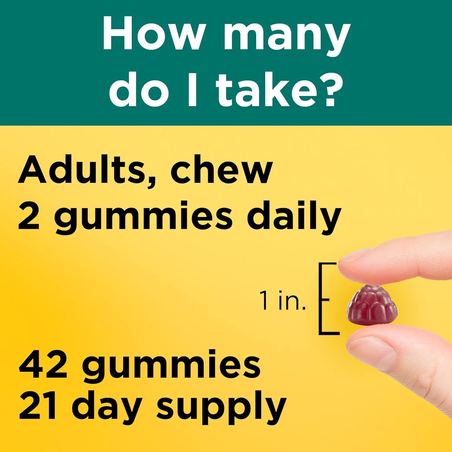 Ultra Strength Digestive Probiotics Gummies for Women and Men - 42 Count, 21 Day Supply