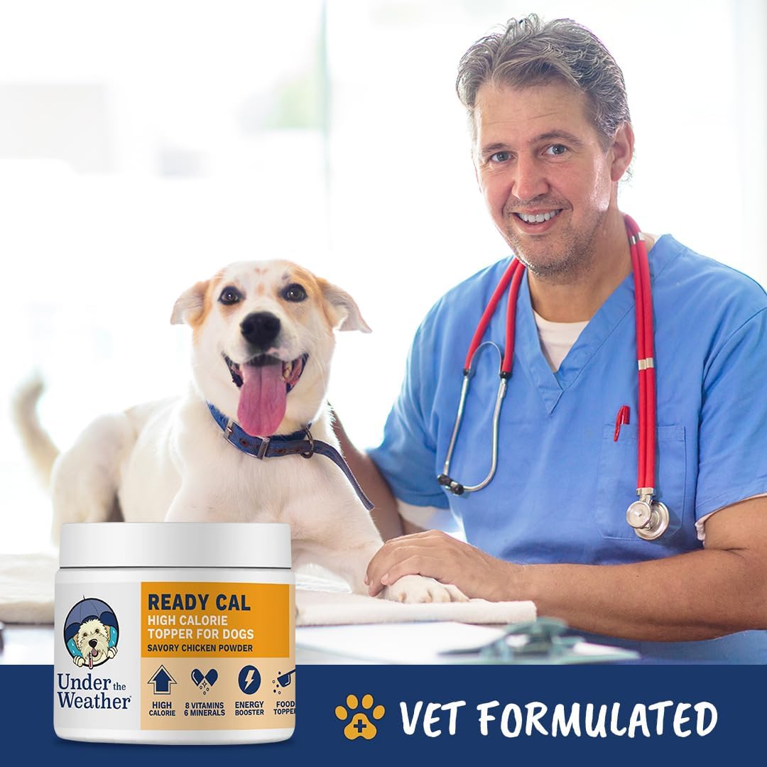 Under the Weather Ready Cal Powder for Dogs - High-Calorie Weight Gainer, Appetite Stimulant, Energy Booster Supplement - 12 Ounces