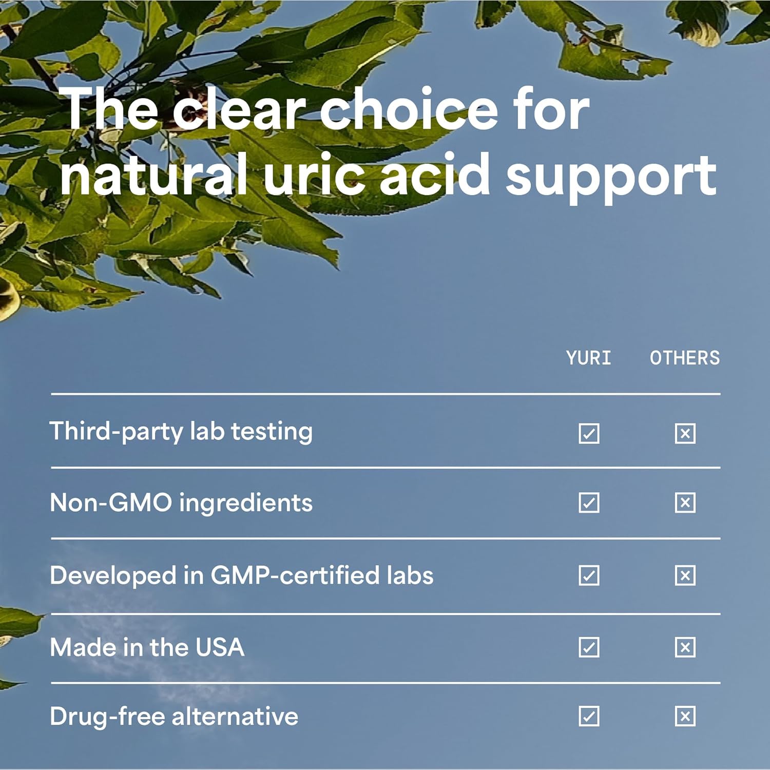 Uric Acid Cleanse Supplement with Natural Ingredients - Detox with Celery Seed Extract, Chanca Piedra, and Tart Cherry Capsules - Kidney Cleanse for Uric Acid Flush