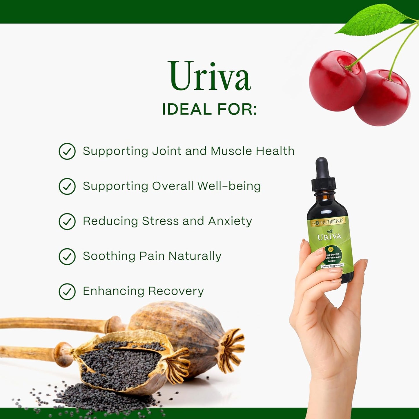 Uriva Advanced Uric Acid Cleanse Liquid Drops with Tart Cherry, Celery Seed, Turmeric | Joint & Kidney Support Supplement 2.0 oz.
