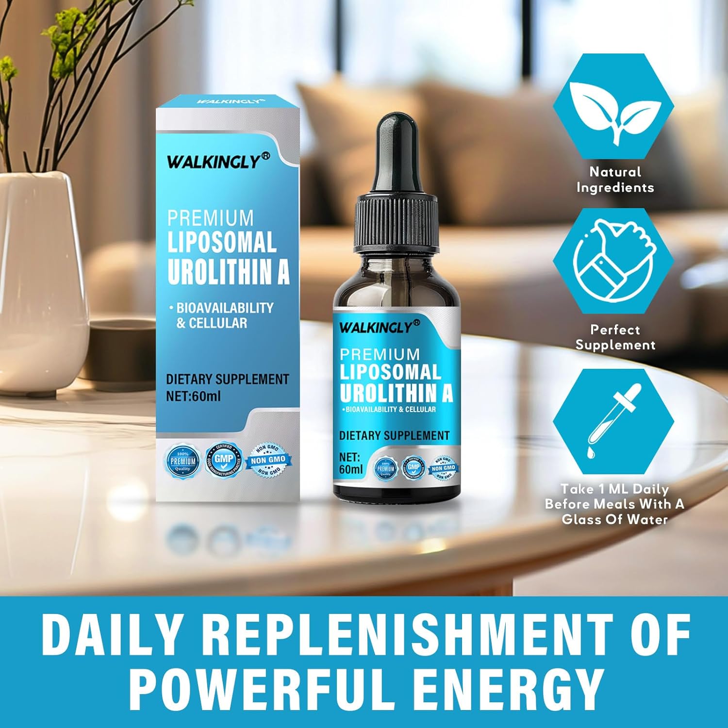 Urolithin A Liquid Drops Supplement - 3000mg High Strength Formula for Walking