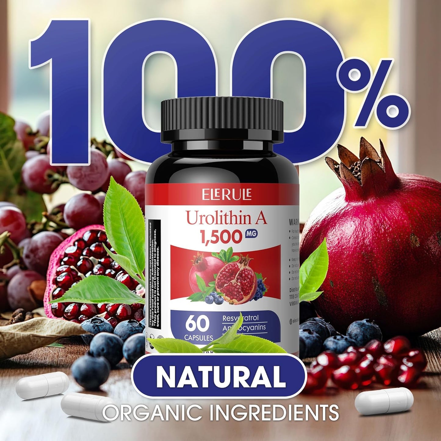 Urolithin A Supplement 1500mg with Trans-Resveratrol, Anthocyanins, Green Tea - Supports Healthy Aging, Cellular Vitality, and Energy - 60 Capsules for Men & Women