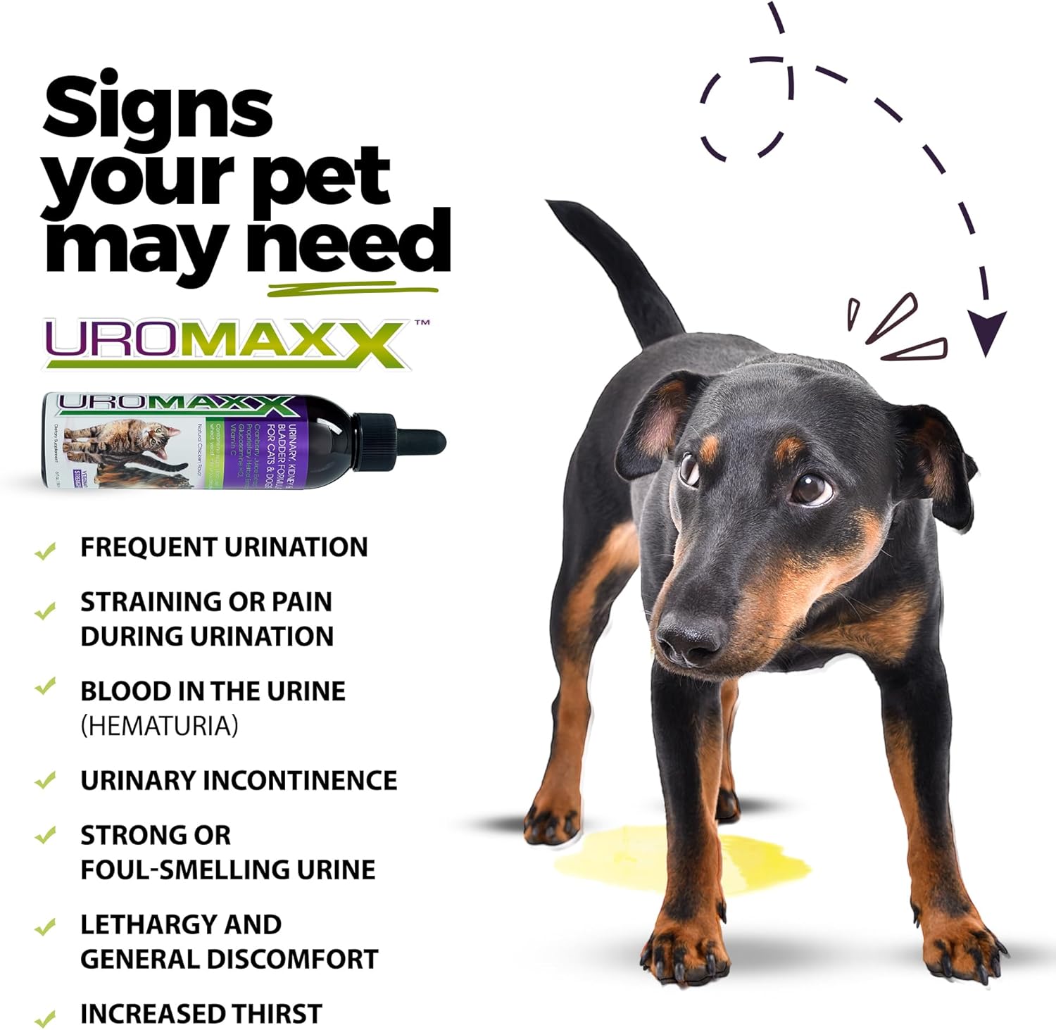 UroMAXX Pet Urinary Tract Treatment with Cranberry & Glucosamine - Dog & Cat Bladder Support - Chicken Flavor - 6 oz Bottle