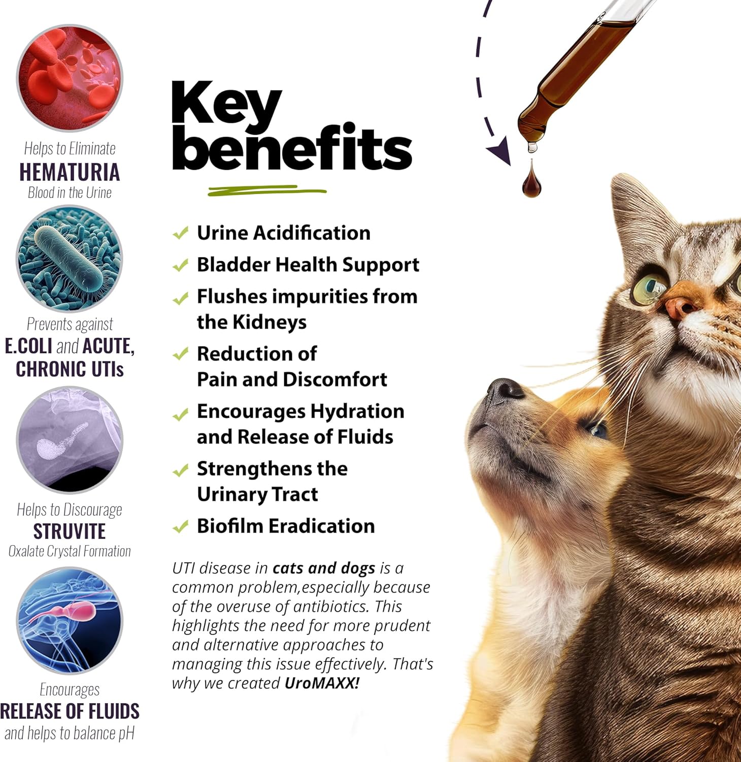 UroMAXX Pet Urinary Tract Treatment with Cranberry & Glucosamine - Dog & Cat Bladder Support - Chicken Flavor - 6 oz Bottle