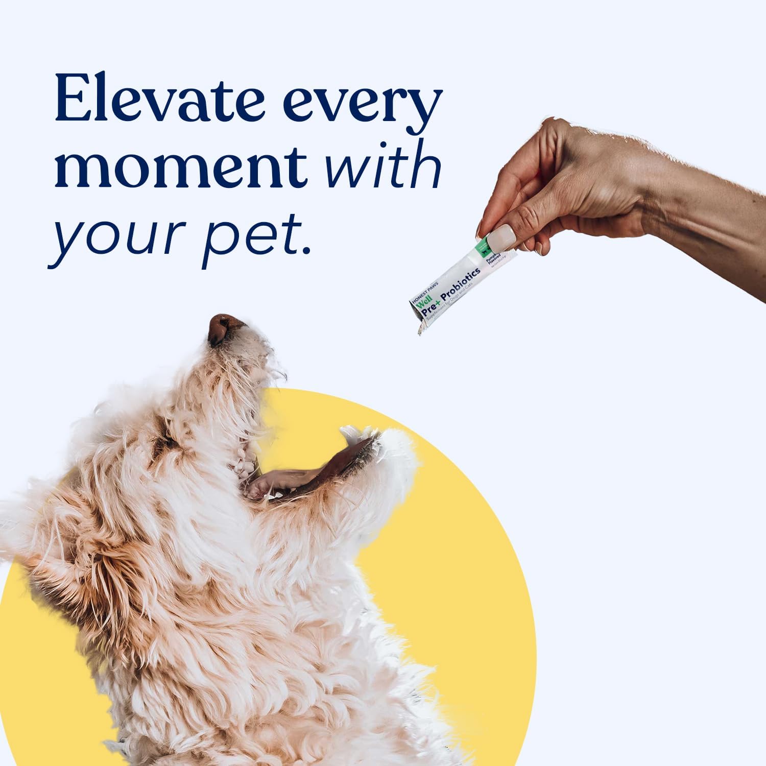 USA-Made Dog Probiotic Powder for Digestive and Immune Health - Pumpkin Flavor with Prebiotic, Enzymes - 30 Sticks