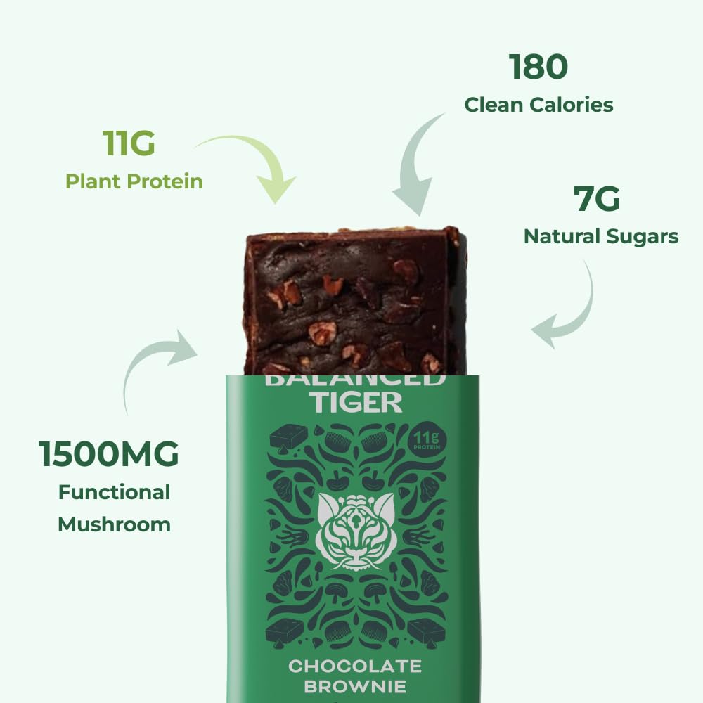 USA-Made Organic Vegan Protein Bars with Functional Mushrooms - Chocolate Brownie Flavor | 1500mg Full Dose Lions Mane, Chaga, Reishi & Cordyceps | Plant Protein with Adaptogens & Superfoods