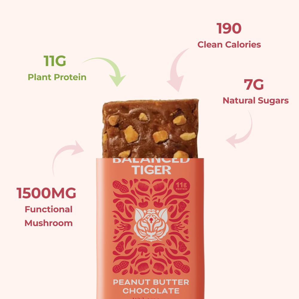 USA-Made Organic Vegan Protein Bars with Functional Mushrooms (Lions Mane, Chaga, Reishi, Cordyceps) - Peanut Butter Chocolate Flavor - Full Dose of Adaptogens & Superfoods