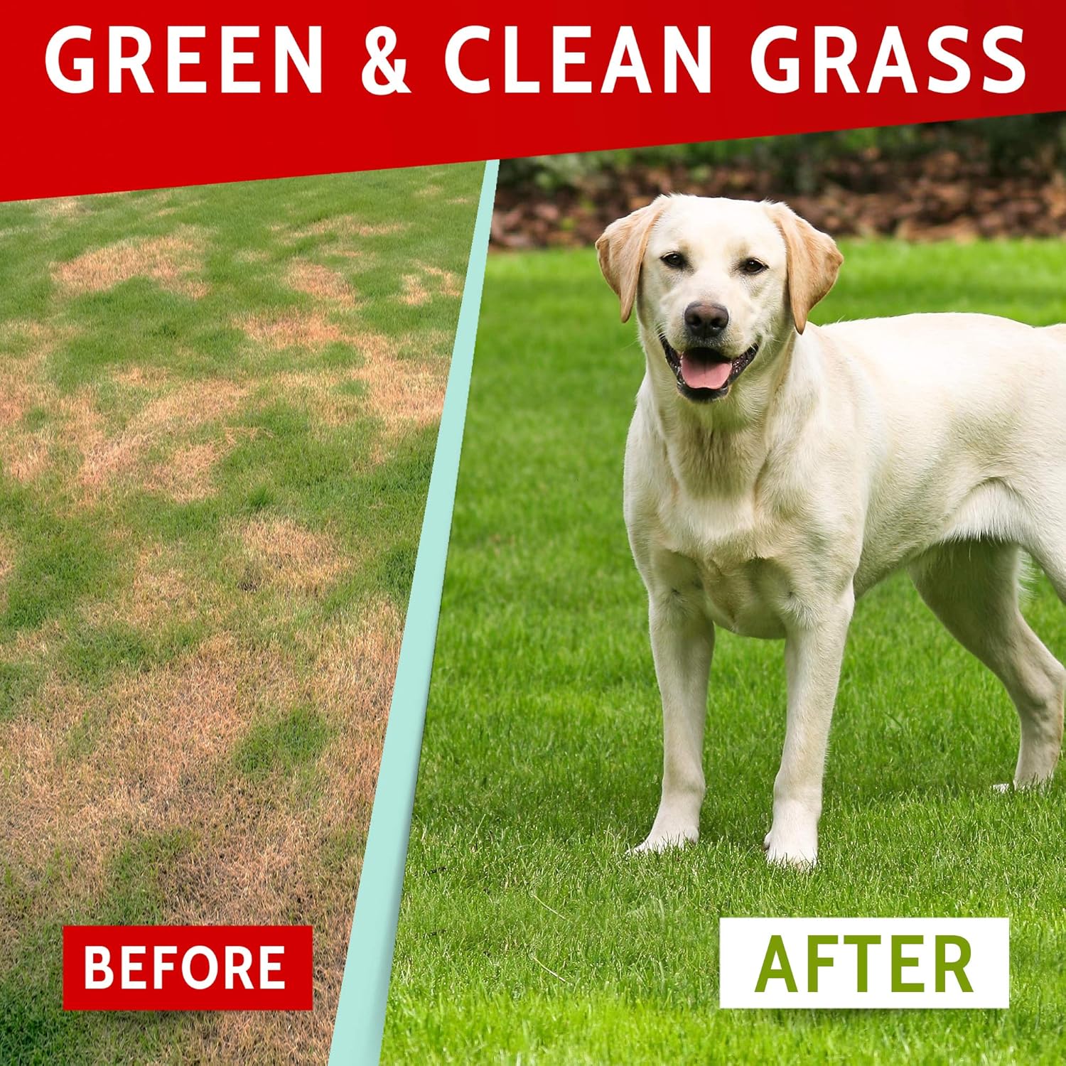 USA-Made PAWFECTCHEW Dog Pee Grass Helper - Neutralize Dog Urine Spots with Probiotic Lawn Repair Treats - 120 Chews