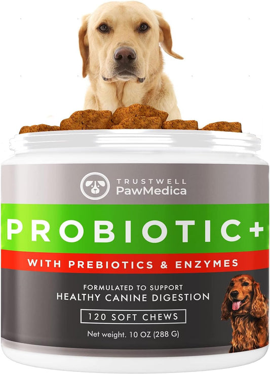 USA-Made PawMedica Dog Probiotic Chews with Digestive Enzymes & Prebiotics - 120 Treats for Digestive Support