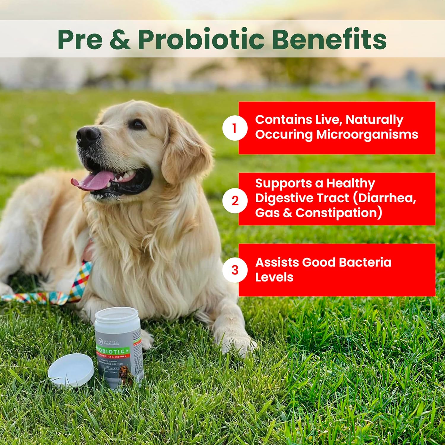 USA-Made PawMedica Dog Probiotic Chews with Digestive Enzymes & Prebiotics - 120 Treats for Digestive Support
