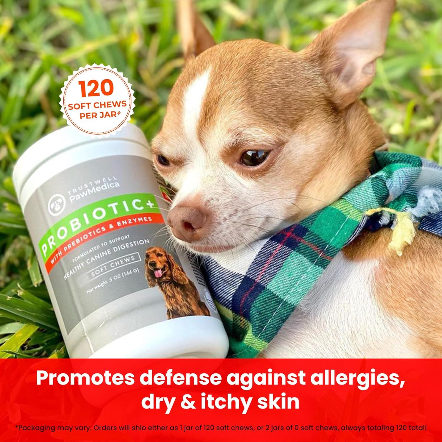 USA-Made PawMedica Dog Probiotic Chews with Digestive Enzymes & Prebiotics - 120 Treats for Digestive Support