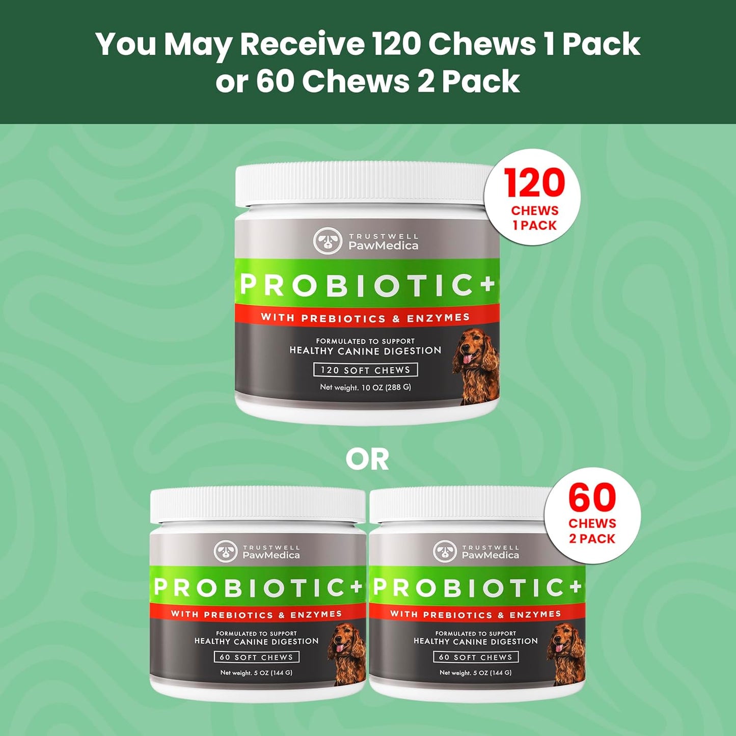 USA-Made PawMedica Dog Probiotic Chews with Digestive Enzymes & Prebiotics - 120 Treats for Digestive Support