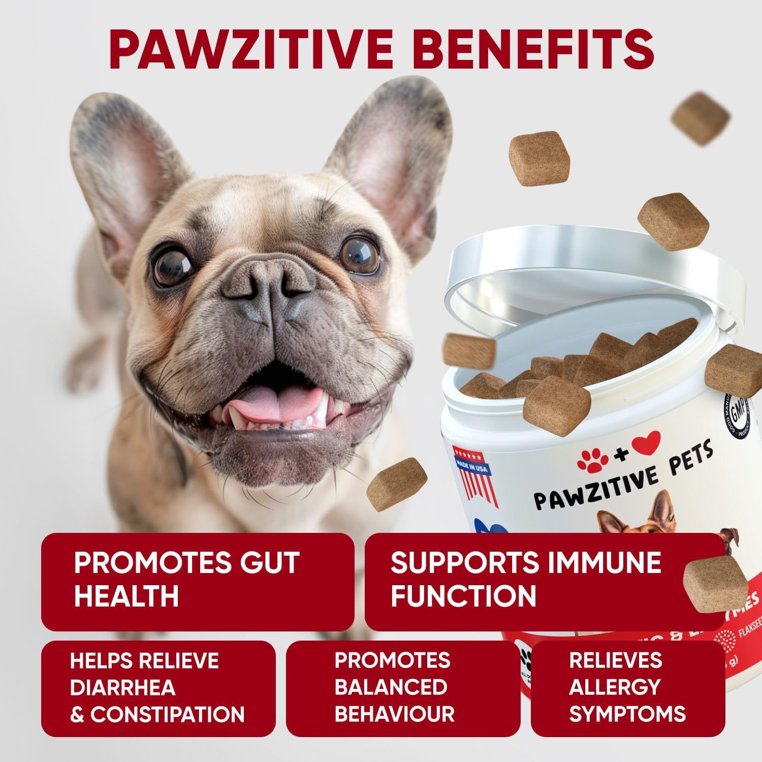 USA-Made Pawzitive Pets Probiotic Chews for Dogs - Digestive Health & Immune Support - Relief for Itchy Skin, Yeast, Diarrhea - Enzyme Supplement for Gut Health & Allergies