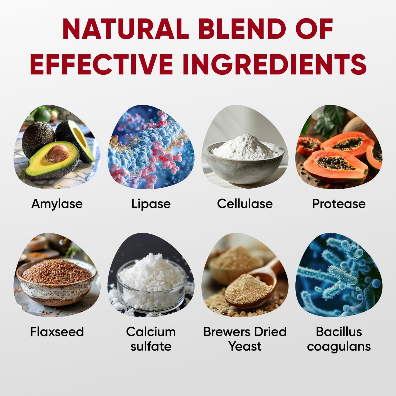 USA-Made Pawzitive Pets Probiotic Chews for Dogs - Digestive Health & Immune Support - Relief for Itchy Skin, Yeast, Diarrhea - Enzyme Supplement for Gut Health & Allergies