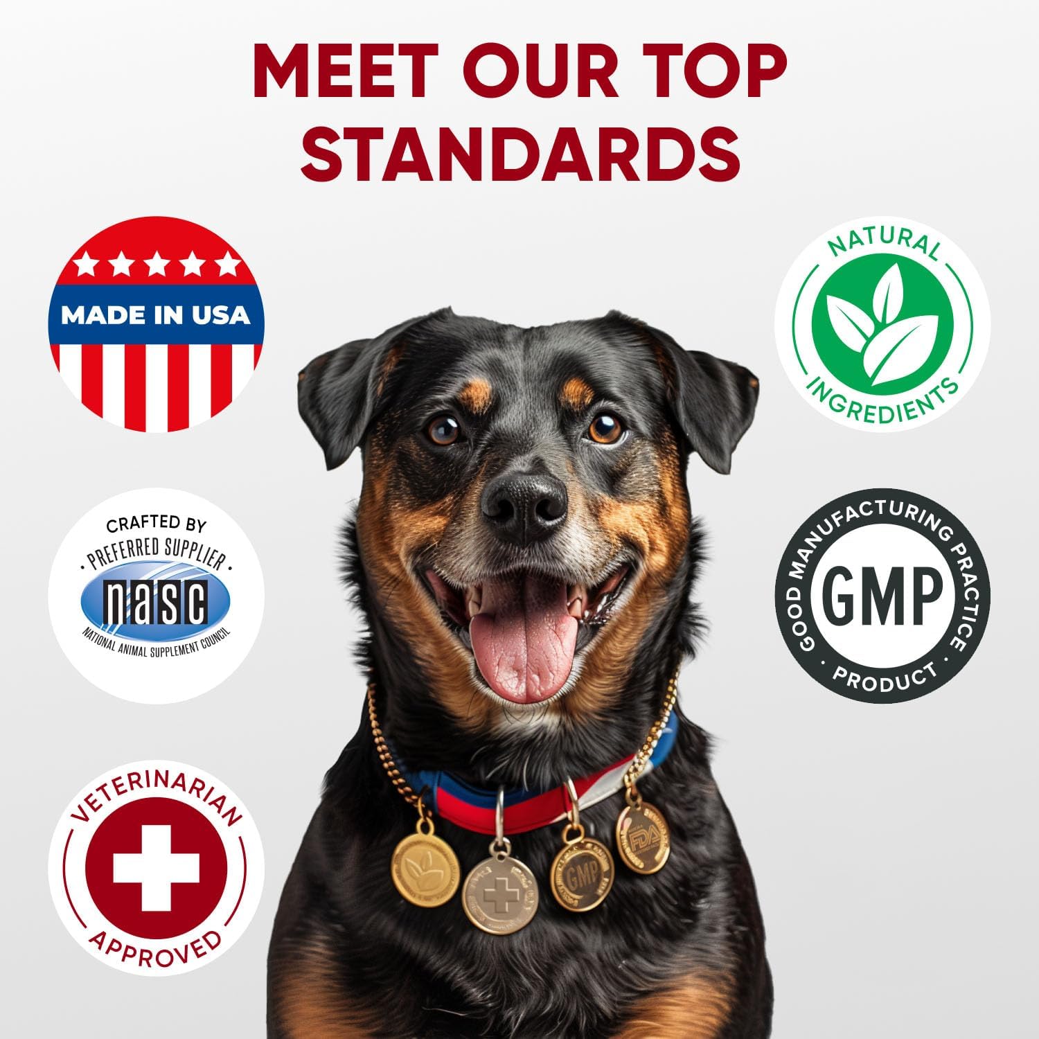 USA-Made Pawzitive Pets Probiotic Chews for Dogs - Digestive Health & Immune Support - Relief for Itchy Skin, Yeast, Diarrhea - Enzyme Supplement for Gut Health & Allergies