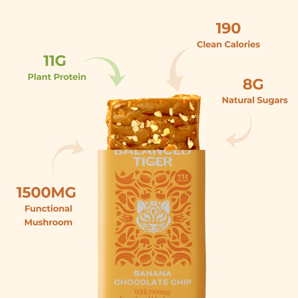 USA-Made Vegan Protein Bars with Organic Functional Mushrooms & Adaptogens - Banana Chocolate Chip Flavor, High Protein Plant Bars with Full Dose (1500mg) Lions Mane, Chaga, Reishi & Cordyceps