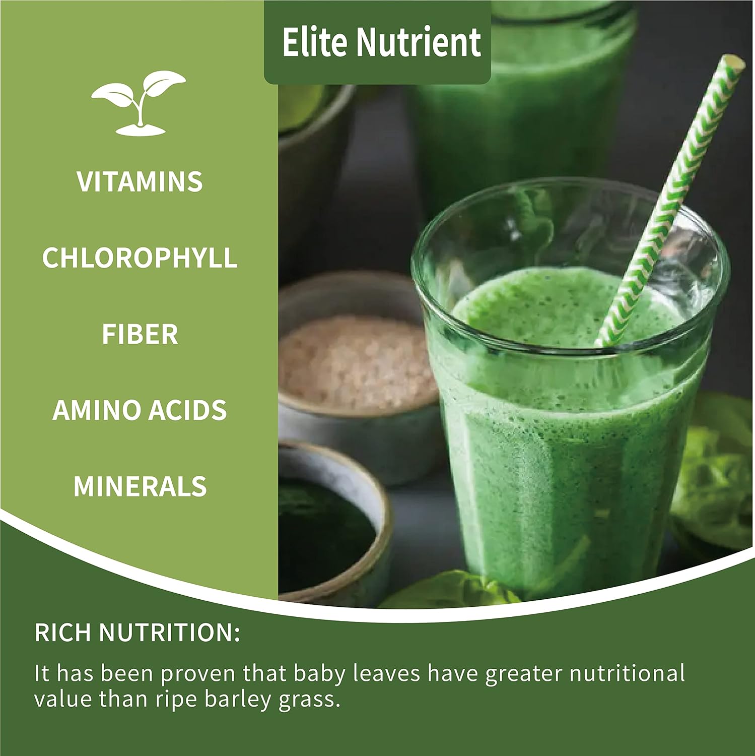 USDA Certified Elite Nutrient Organic Spirulina Powder - Non-GMO Superfood for Energy and Immunity - High Protein - Individual Packets