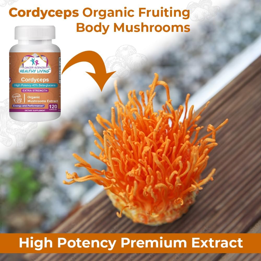 USDA Certified Organic Cordyceps Mushrooms Supplement | High Potency 1,500mg Extract with 40% Beta-Glucans | Energy & Immune Support Booster | 120 Capsules