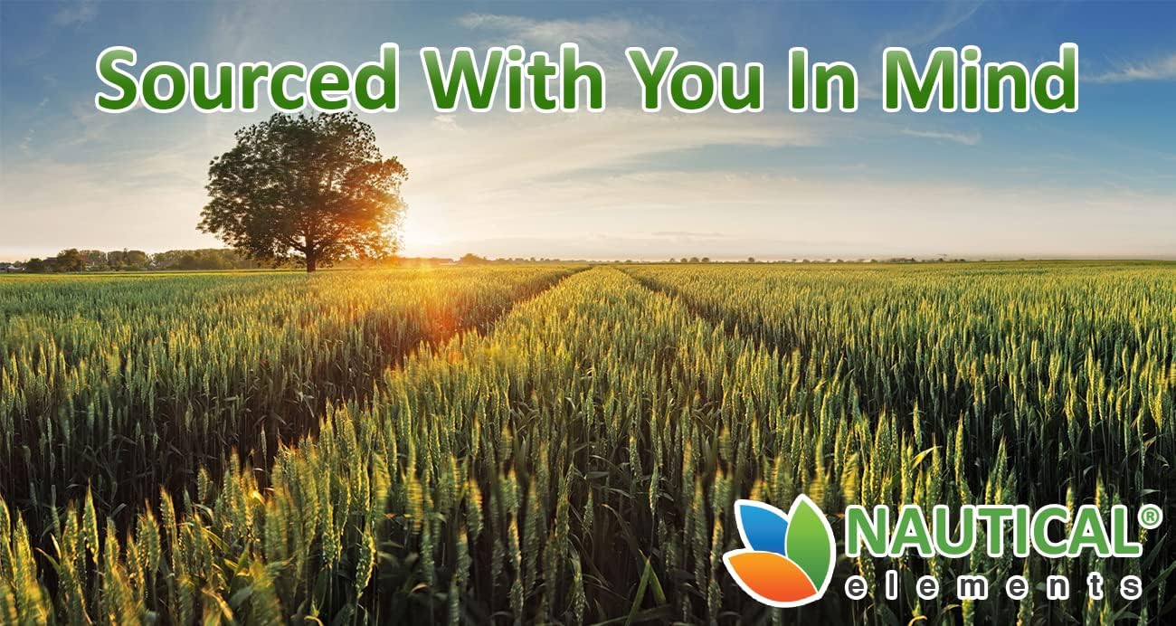 USDA Certified Organic Nautical Elements Wheatgrass Powder - Rich in Amino Acids, Chlorophyll, Antioxidants, Minerals, and Vitamins - US Grown Vegan Non-GMO Superfood