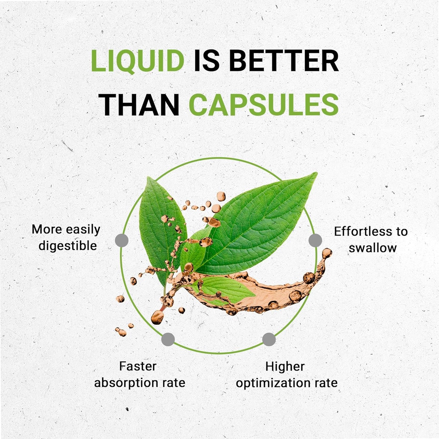 USDA Organic Brahmi Herbal Drops | Alcohol-Free Extract, High-Potency Formula | Made from Certified Organic Bacopa Monnieri Herb 2 oz