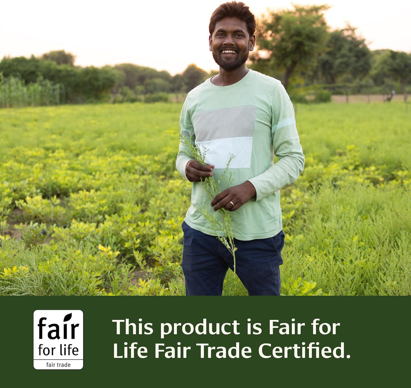 USDA Organic Liver Formula Tablets - 90 Tablets of Cleansing Bitter Herbs for Liver and Gallbladder Detox *