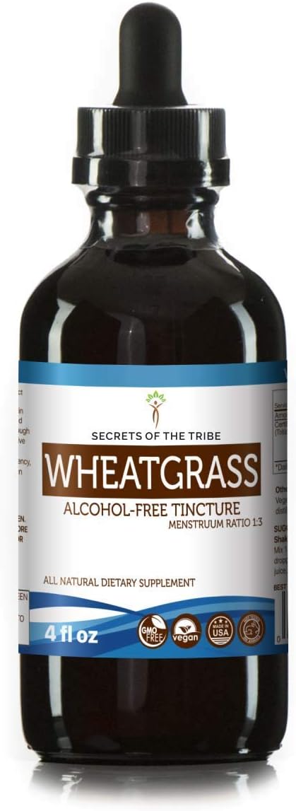 USDA Organic Wheatgrass Alcohol-Free Liquid Extract (4 FL OZ) by Secrets of the Tribe