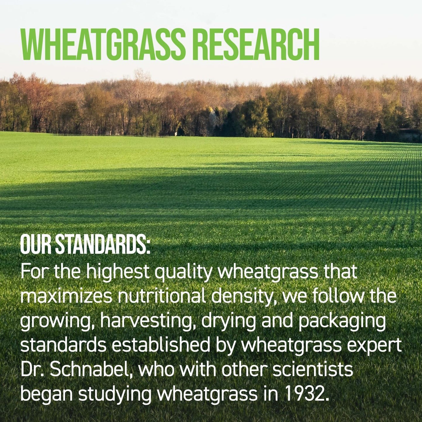 USDA Organic Wheatgrass Tablets - 500 Tablets | On Target Living Formula