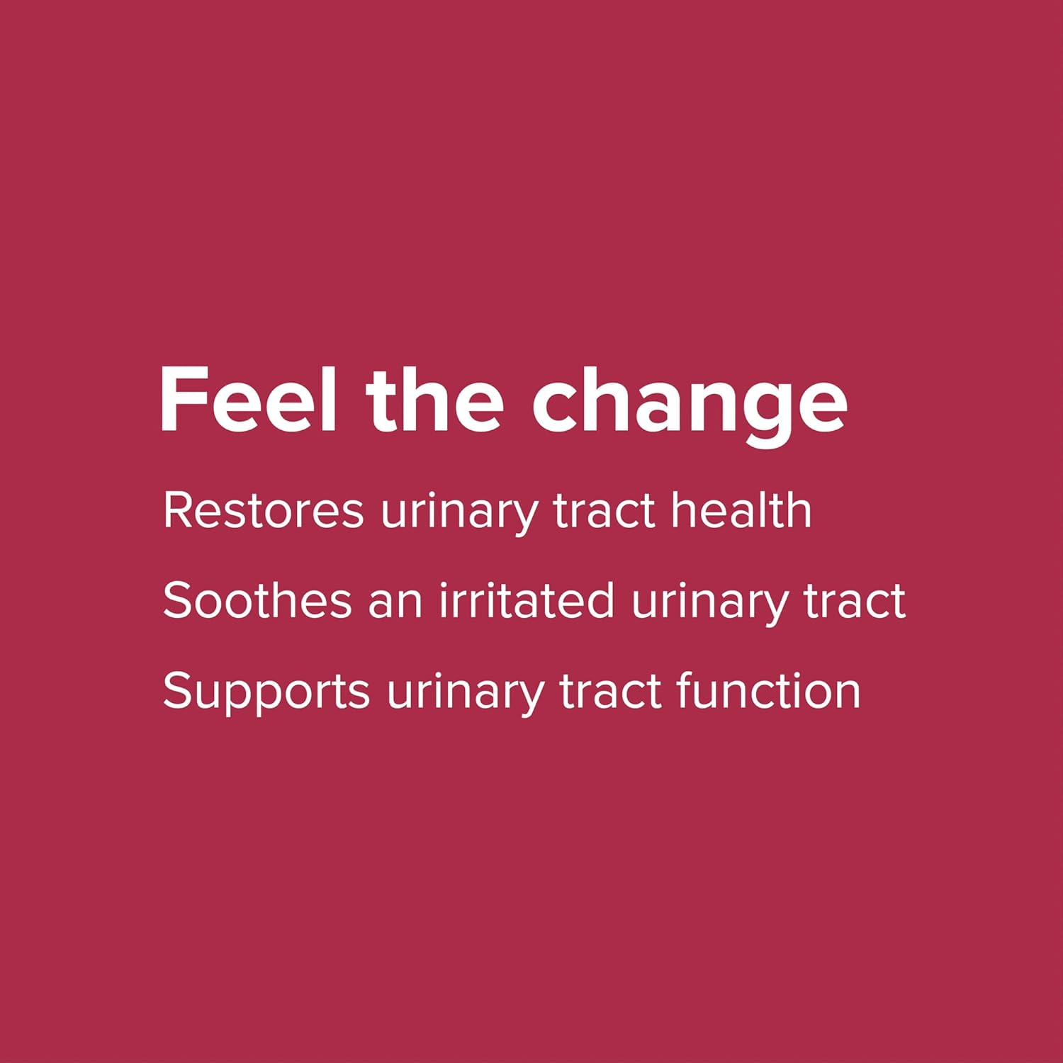 U.T. Vibrance Powder for Vibrant Urinary Tract Health, 10 Servings