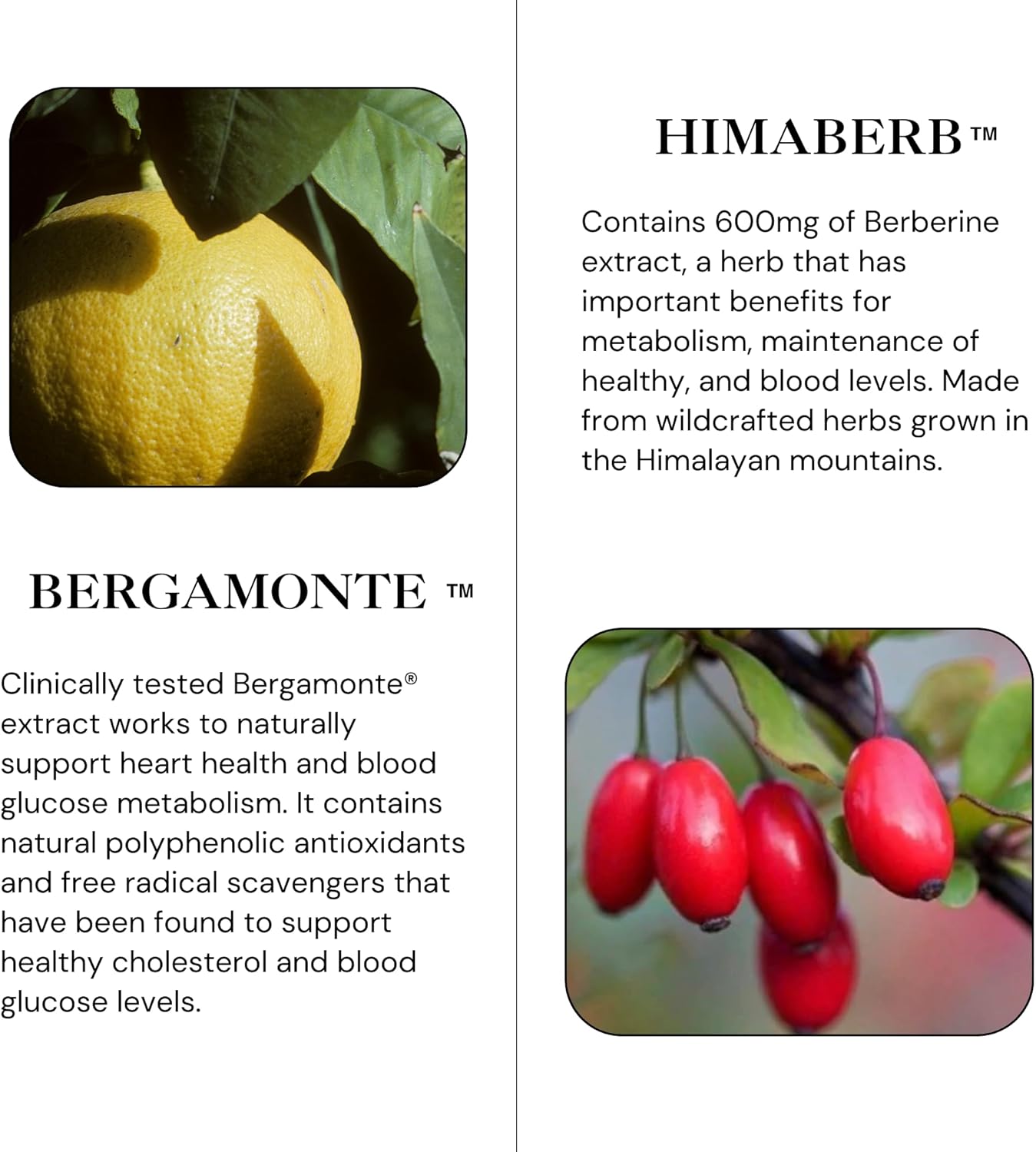 Utzy Naturals Berbercol Capsules - 500mg Citrus Bergamot & Berberine Blend for Heart Health - 60 Count