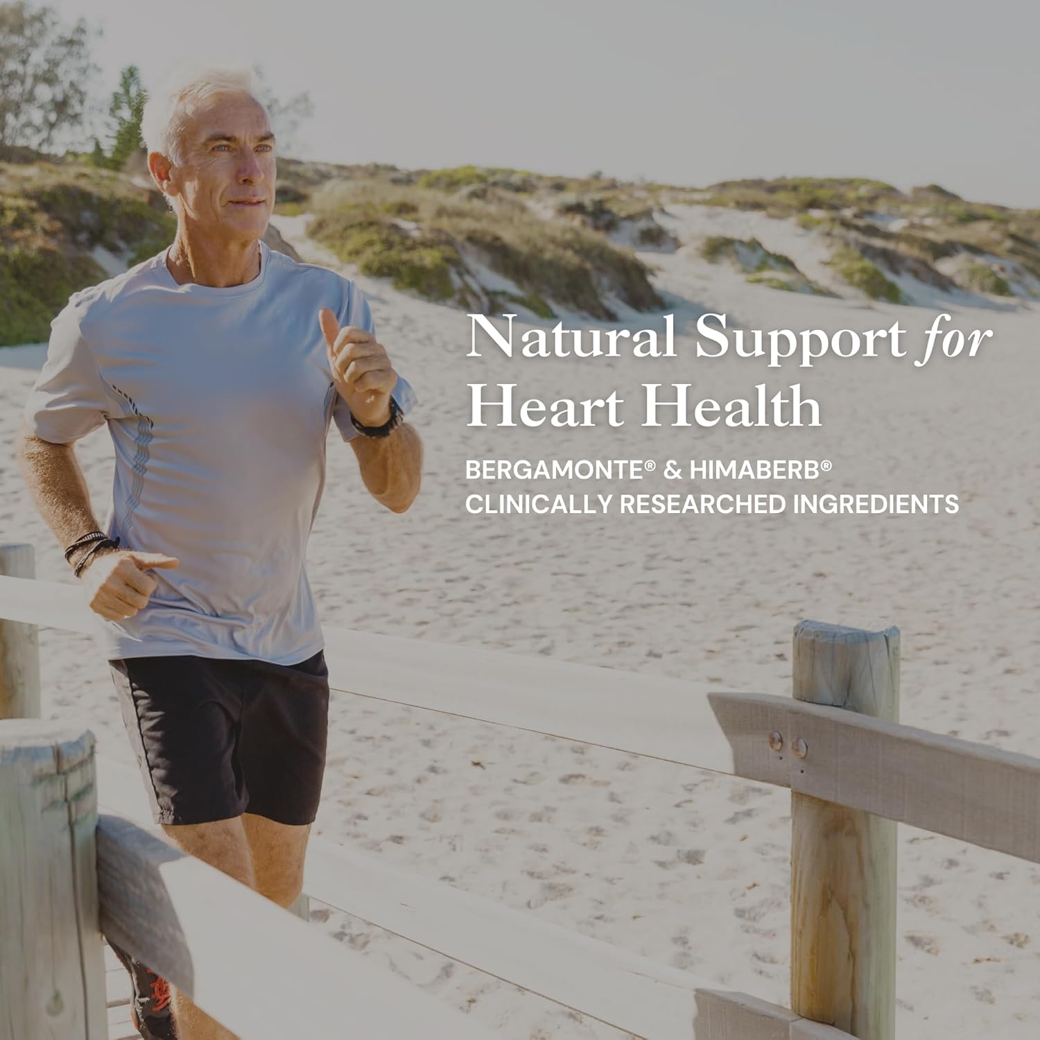 Utzy Naturals Berbercol Capsules - 500mg Citrus Bergamot & Berberine Blend for Heart Health - 60 Count