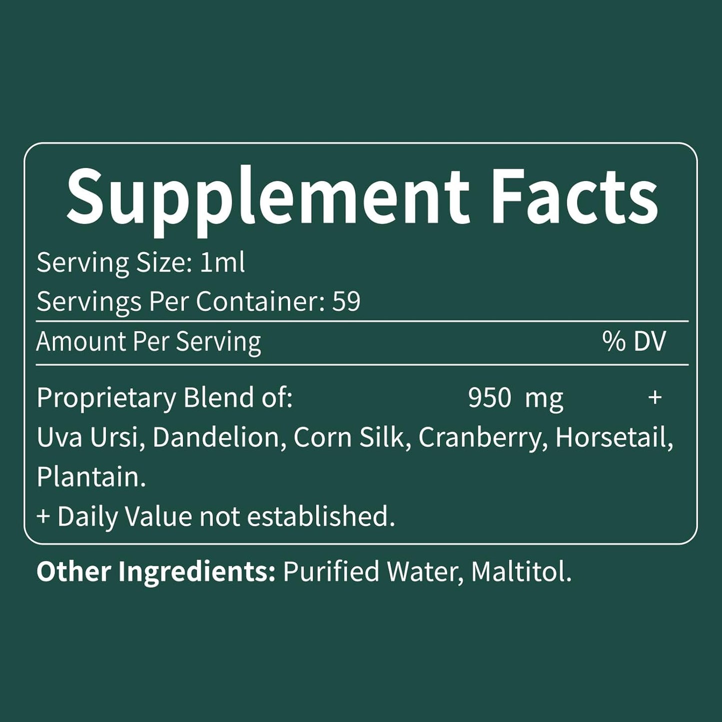 Uva Ursi Bearberry Natural Diuretic Drops for Urinary Health & Kidney Cleanse - Herbal Supplement with Dandelion Root & Cranberry - Alcohol-Free Tincture - 2oz