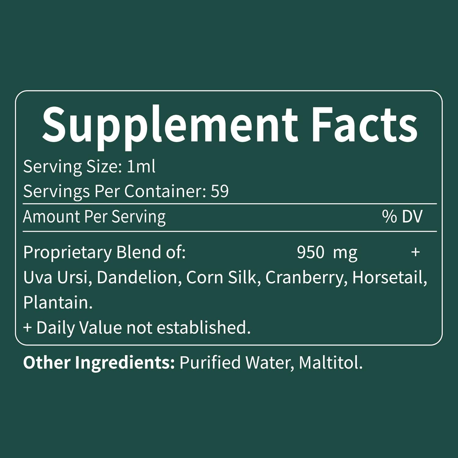 Uva Ursi Bearberry Natural Diuretic Drops for Urinary Health & Kidney Cleanse - Herbal Supplement with Dandelion Root & Cranberry - Alcohol-Free Tincture - 2oz