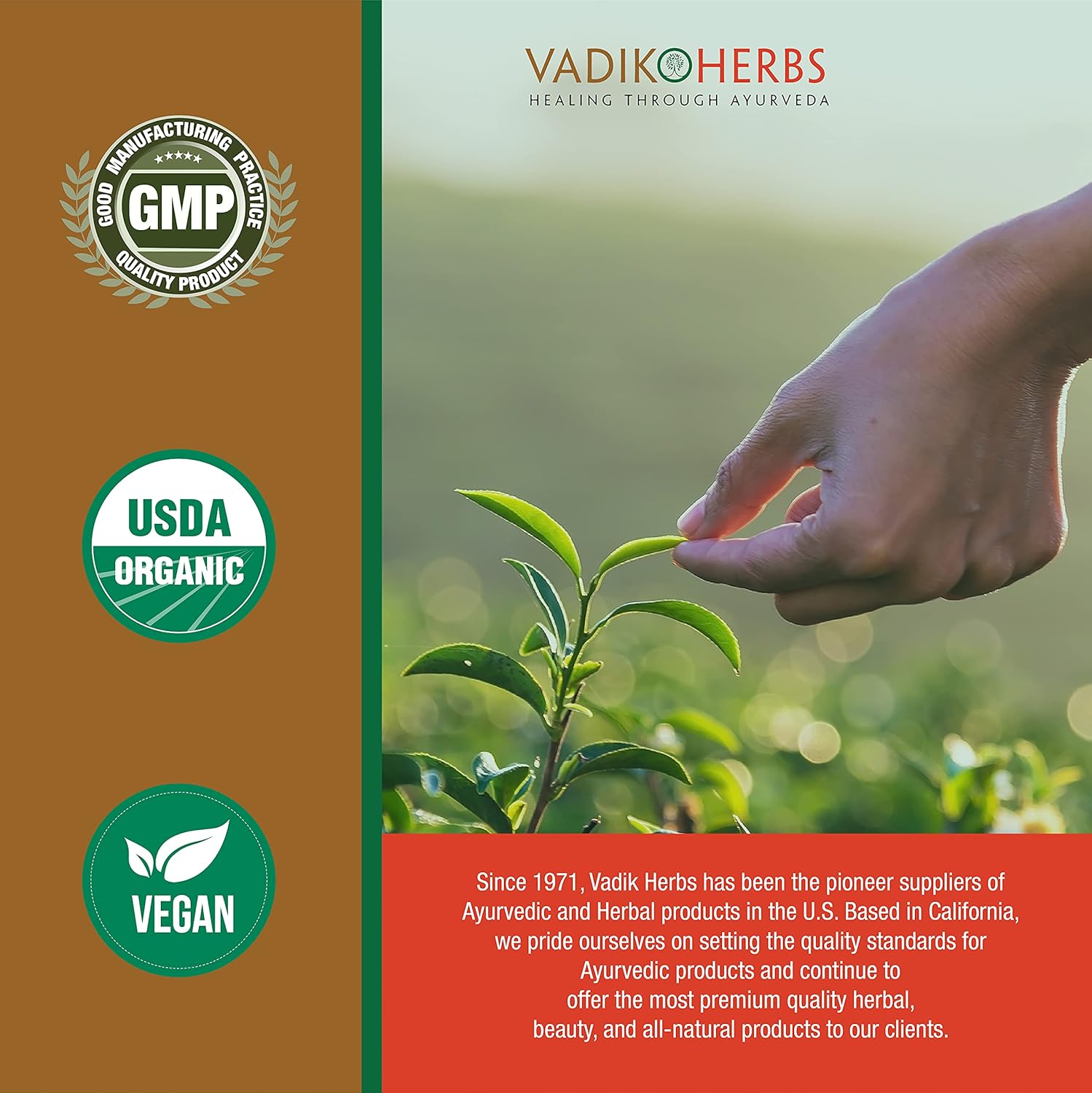 Vadik Herbs Blood Pressure Formula with Ashwagandha and Amla for Cardiovascular Support - 120 Vegetarian Capsules