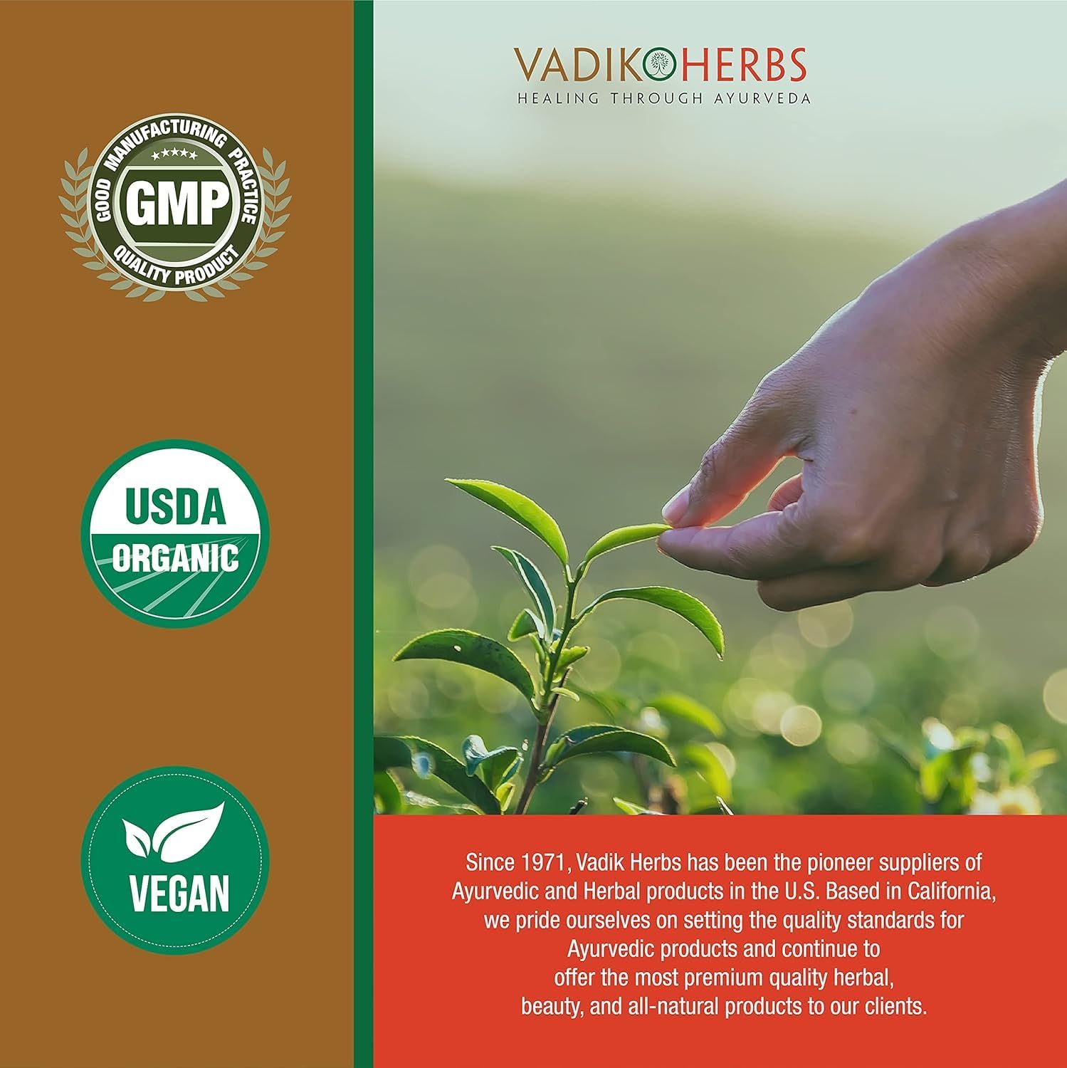 Vadik Herbs Turmeric Curcumin 1000 mg Organic Supplement | 100 Vegetarian Capsules | USA Made | Trusted Since 1971