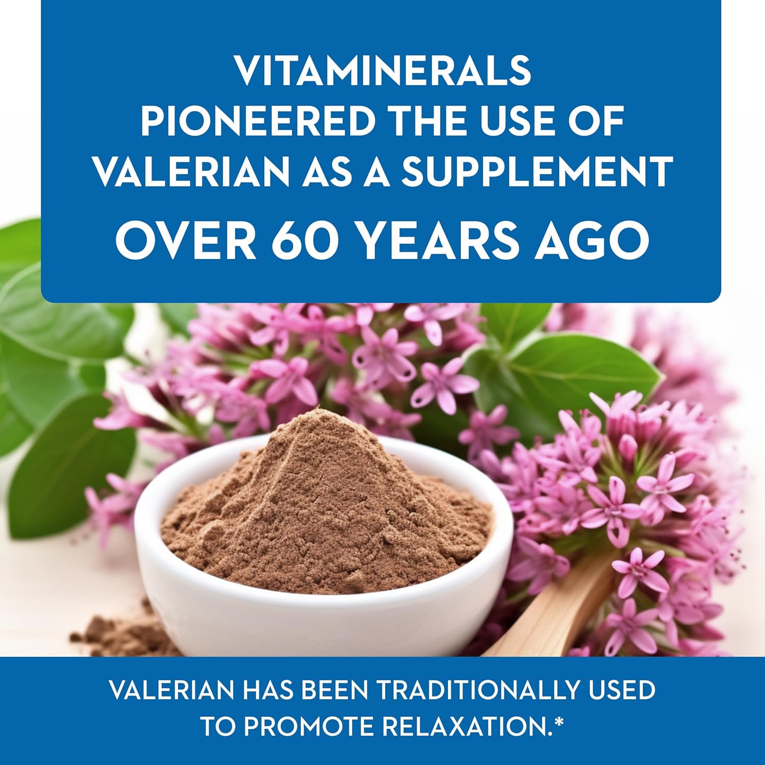 Valerian Extract Supplement for Natural Relaxation Support (120 Capsules)