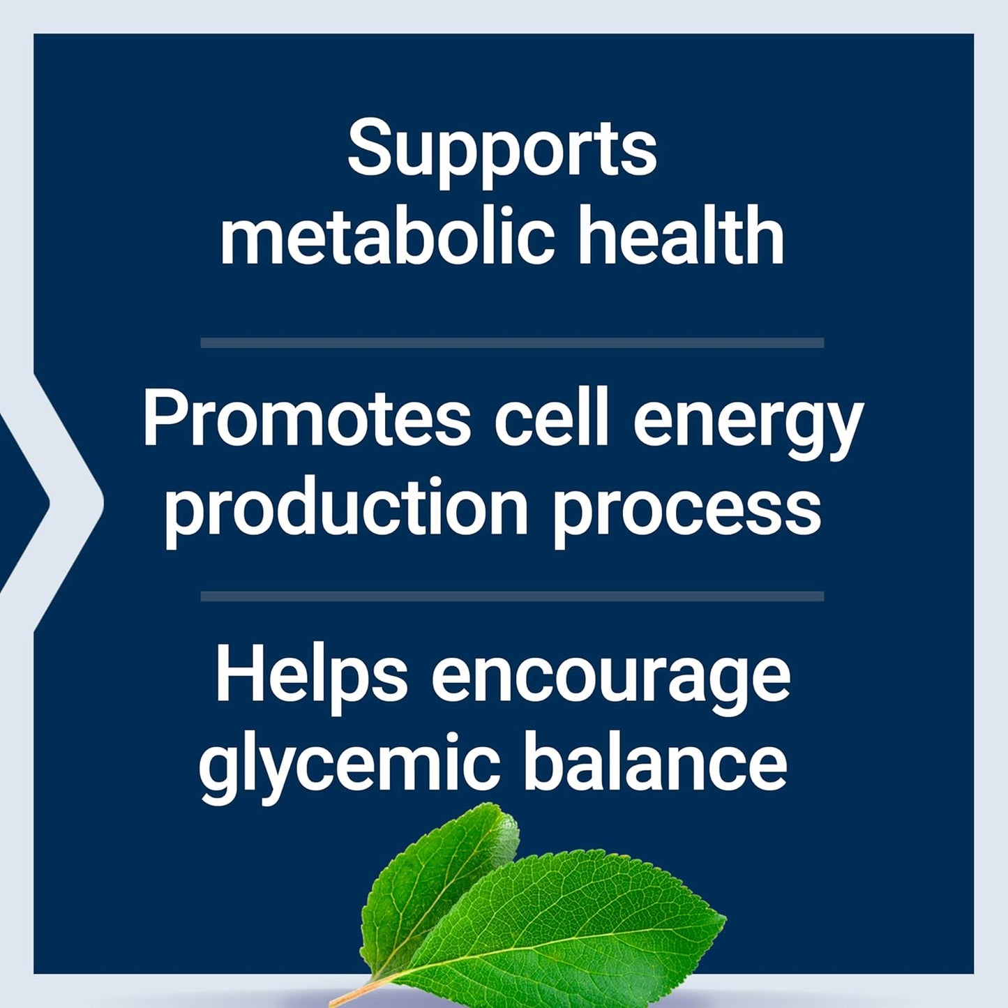 Vanadyl Sulfate Tablets for Healthy Glycemic Balance and Metabolism - 100 Count, Gluten-Free, Non-GMO Vegetarian Formula