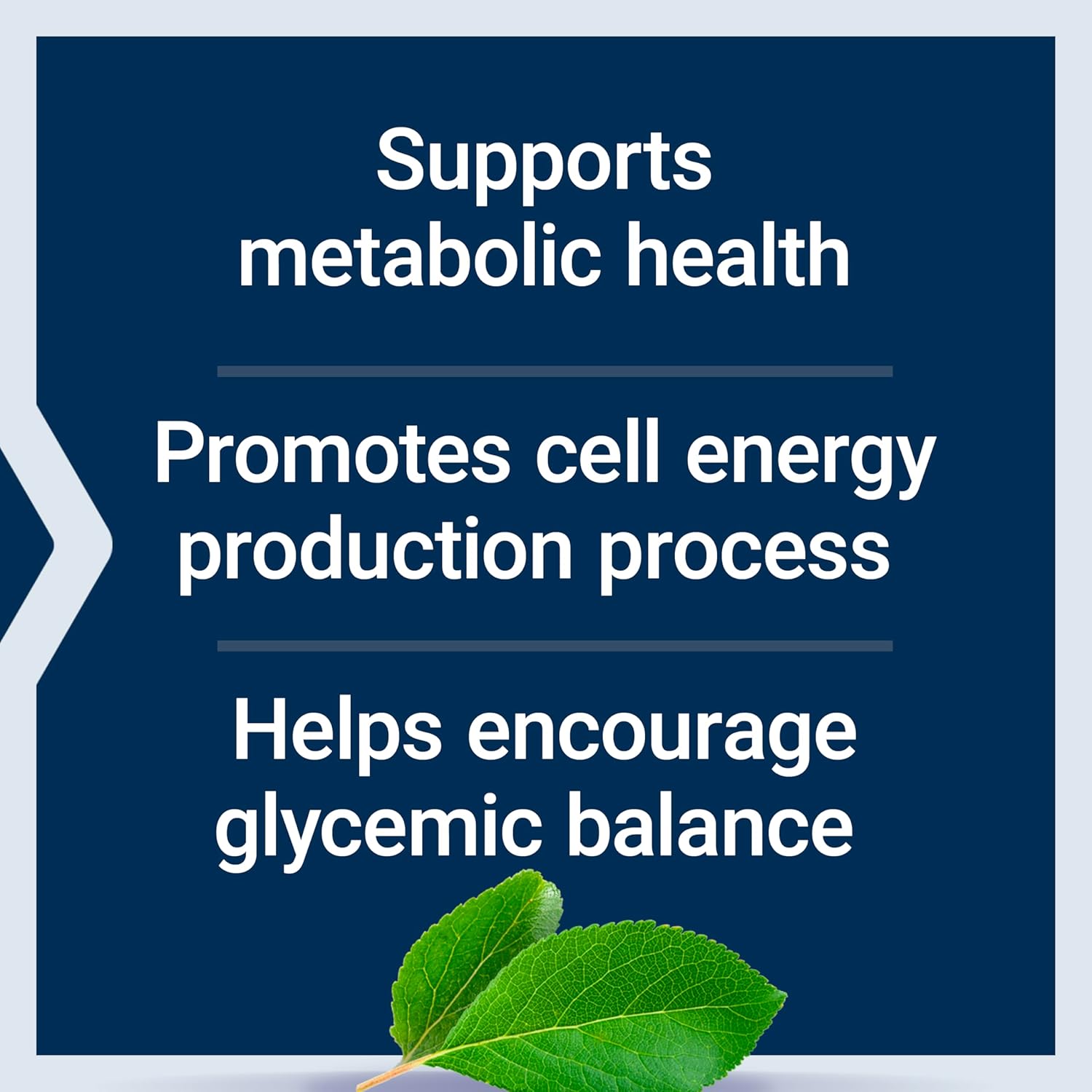 Vanadyl Sulfate Tablets for Healthy Glycemic Balance and Metabolism - 100 Count, Gluten-Free, Non-GMO Vegetarian Formula