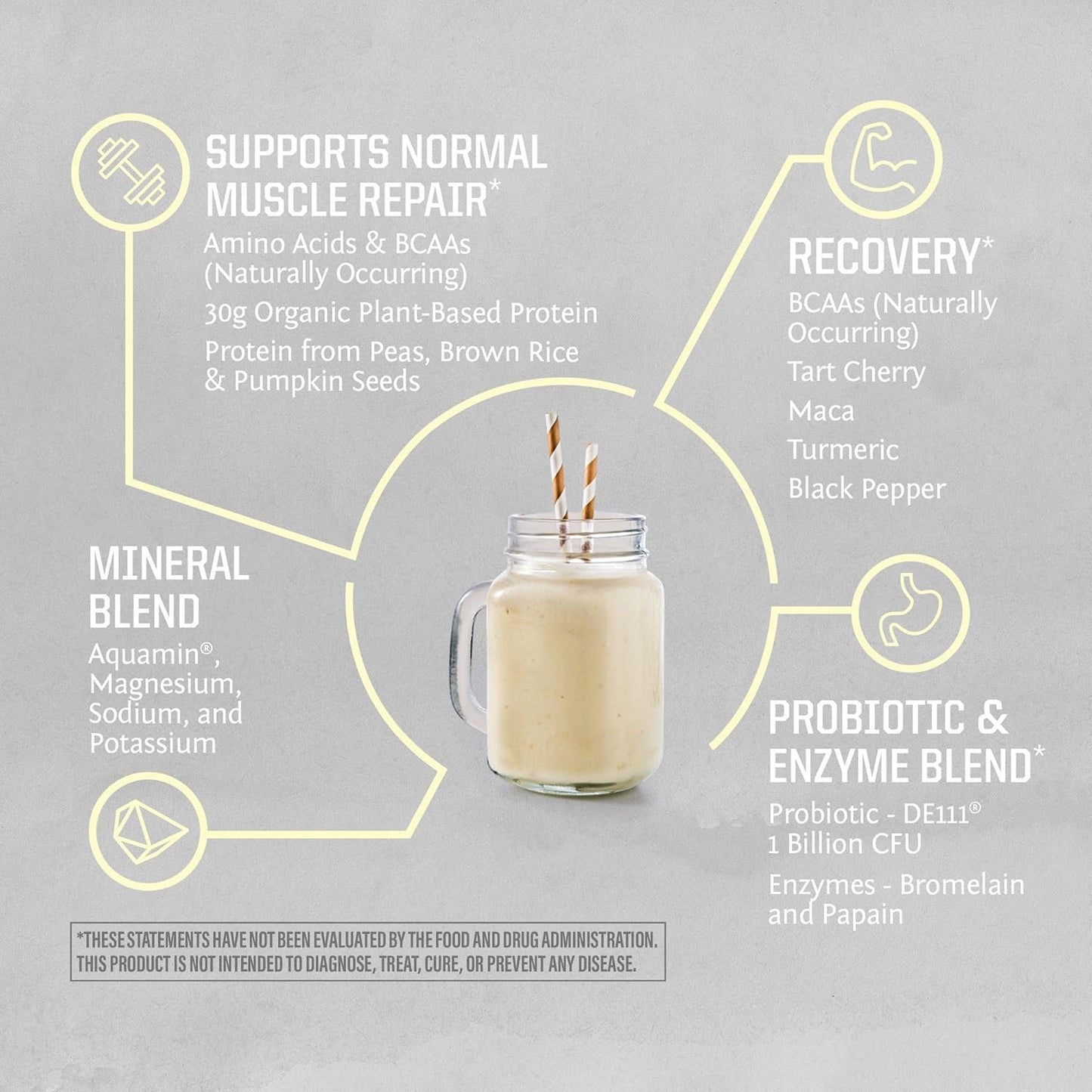 Vanilla Flavored Plant-Based Protein Powder with Creatine Monohydrate - 45 Servings Protein, 60 Servings Creatine