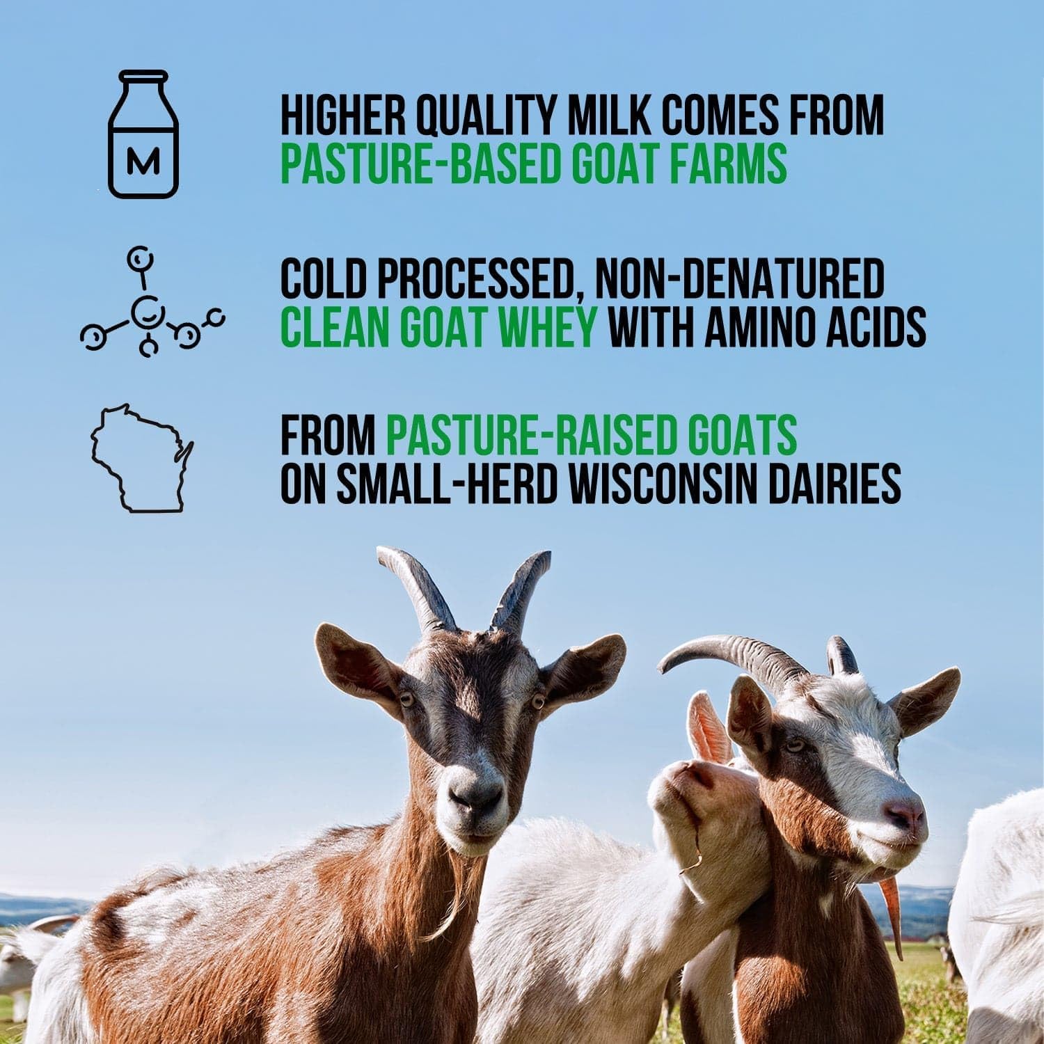 Vanilla Goat Whey Protein Powder - Small-Herd Dairies - 3 Ingredients - GMO & Soy Free - All Natural - 23g Protein - 25 Servings